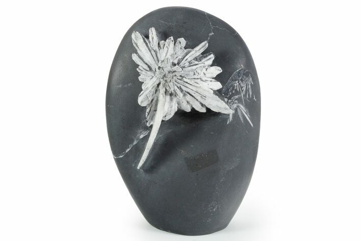 Polished Free-Standing Chrysanthemum Stone - China #352121